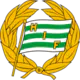 Hammarby IF