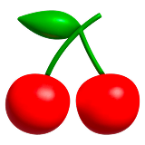 Fruits